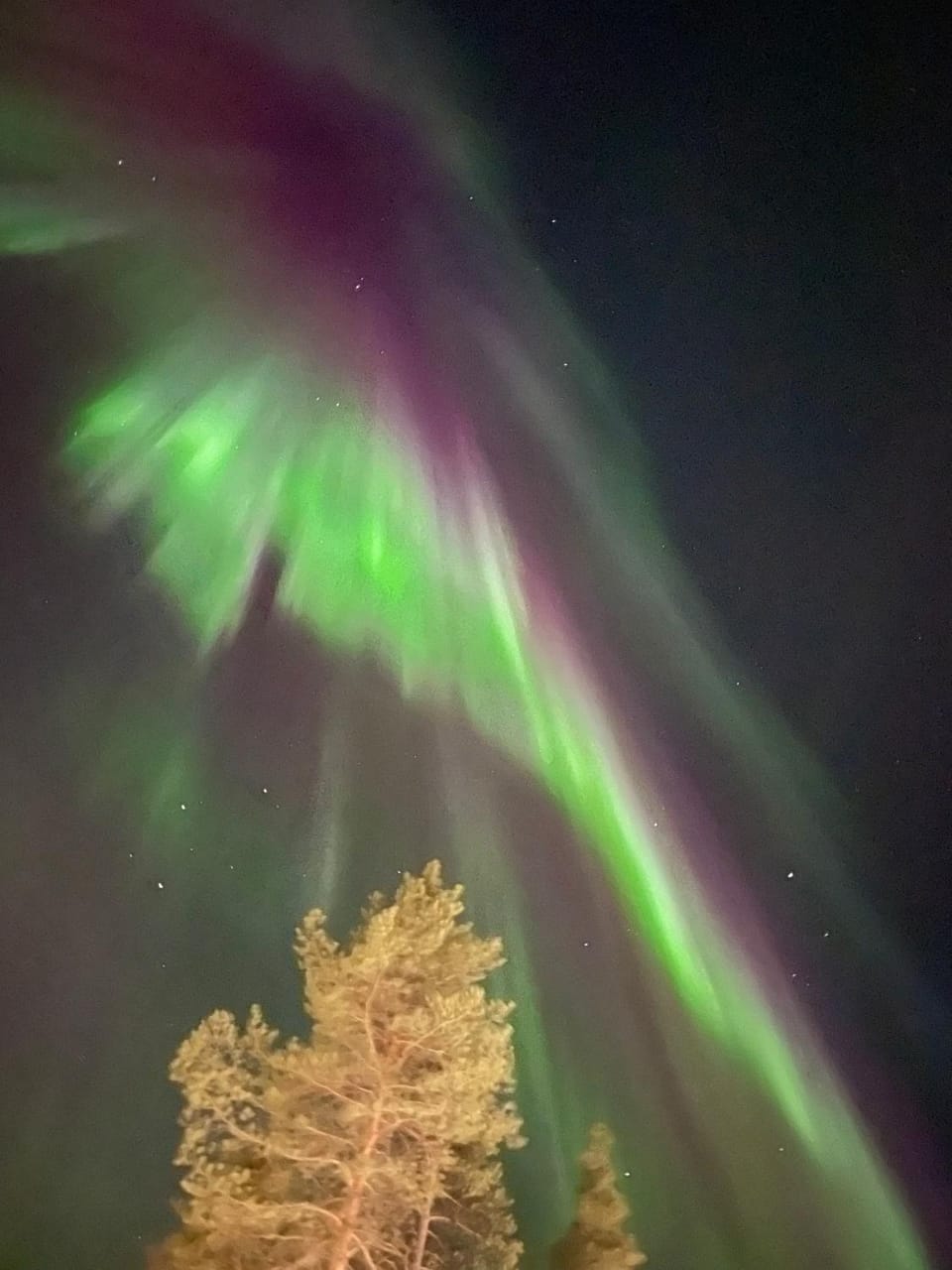 Levistar311 Apartment in Lapland