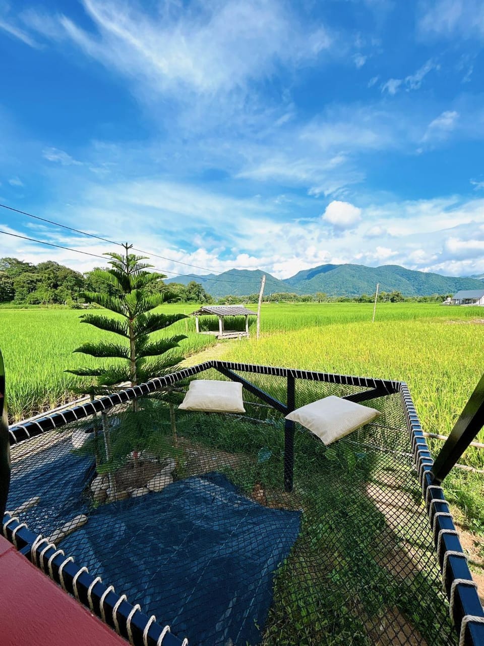 Patio, Natural landscape, Mountain view