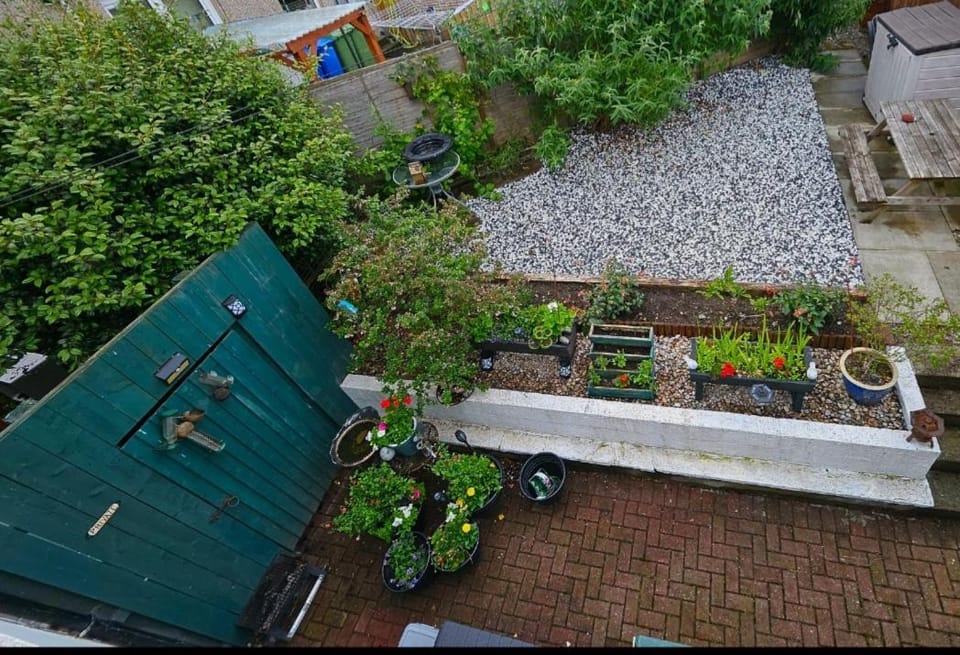 Garden view