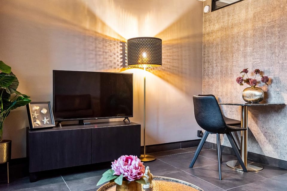 Loft 29 Apartment in Zandvoort