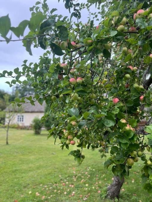Garden, Garden