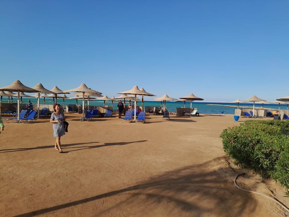 Turtles Beach resort hourghada Studio view sea view pool private beach Pools balcony security Cafe and restaurant on pool jacuzzi air-condition sunny a large balcony Apartment hotel in Hurghada