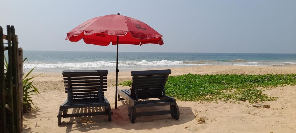 Hikkaduwa Beach House House in Hikkaduwa
