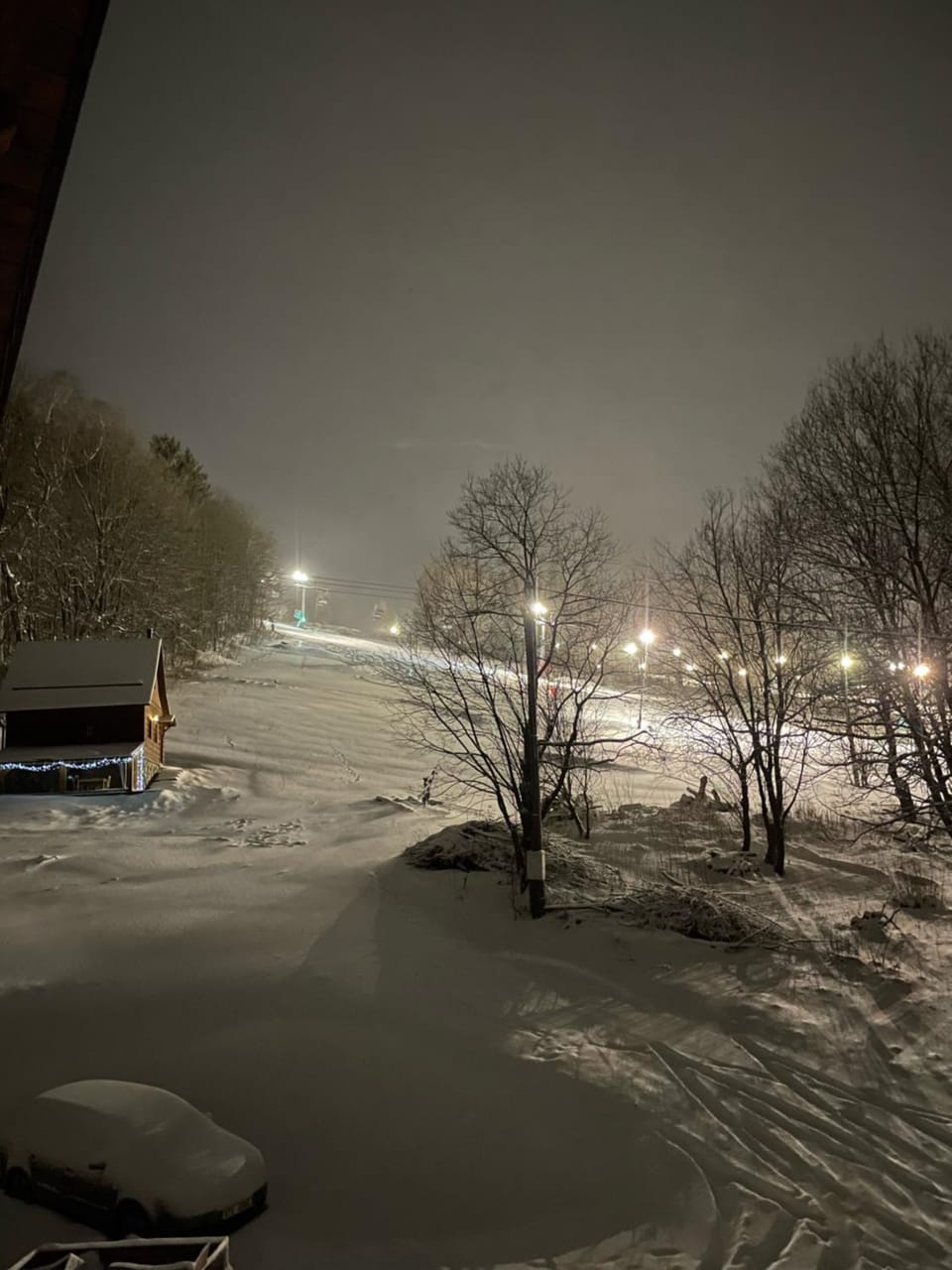 Facade/entrance, Natural landscape, Winter, Ski School, Ski School, Skiing, Skiing, Garden view
