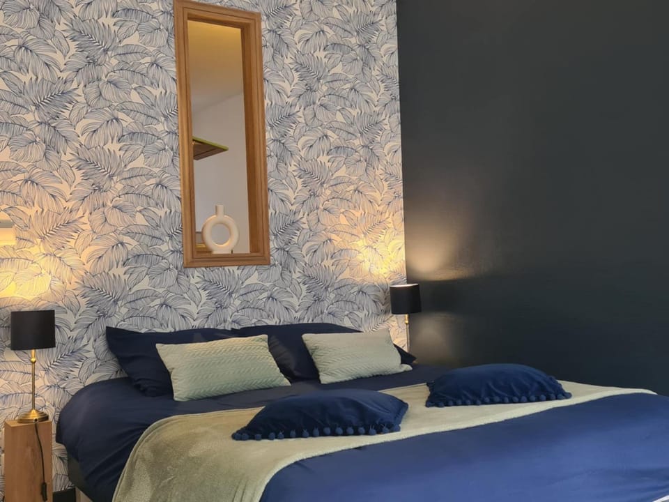 Studio 4 personnes aux pieds du château de Blois avec expérience de dormir sous les aurores boréales Apartment in Blois