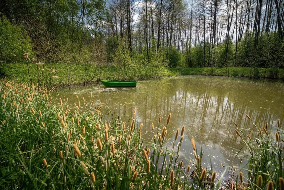 Zacisze nad Sanną House in Poland