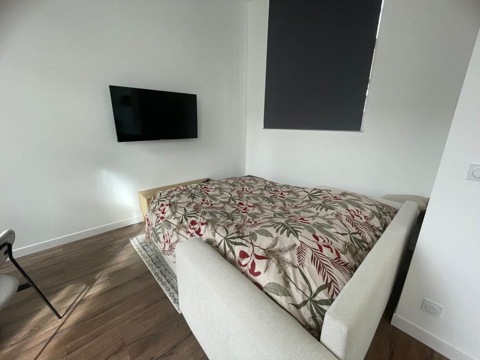 Communal lounge/ TV room, Bed, TV and multimedia