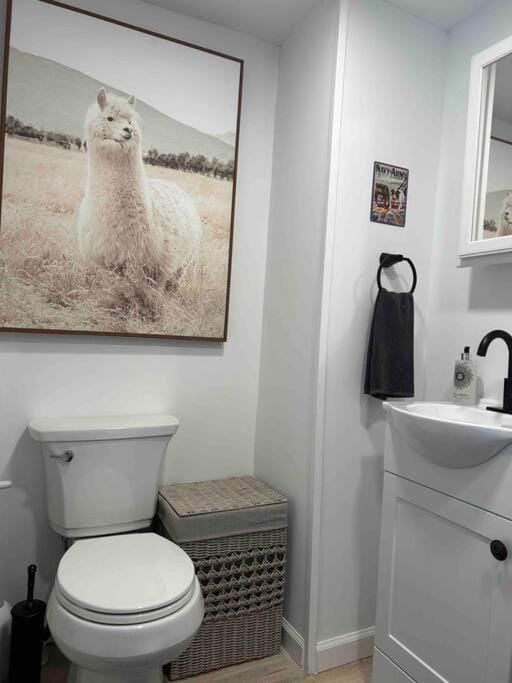 Toilet, Bathroom