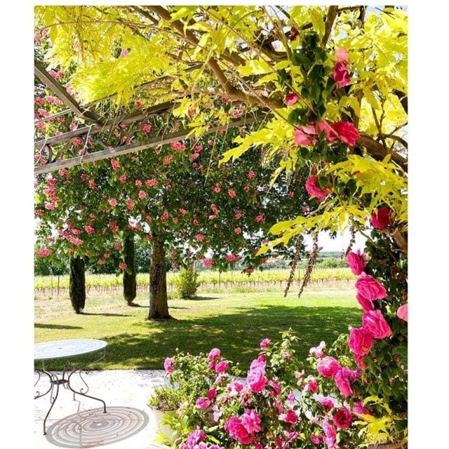 View (from property/room), Garden view
