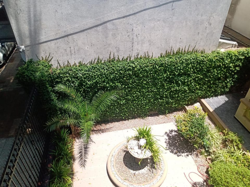 Garden view