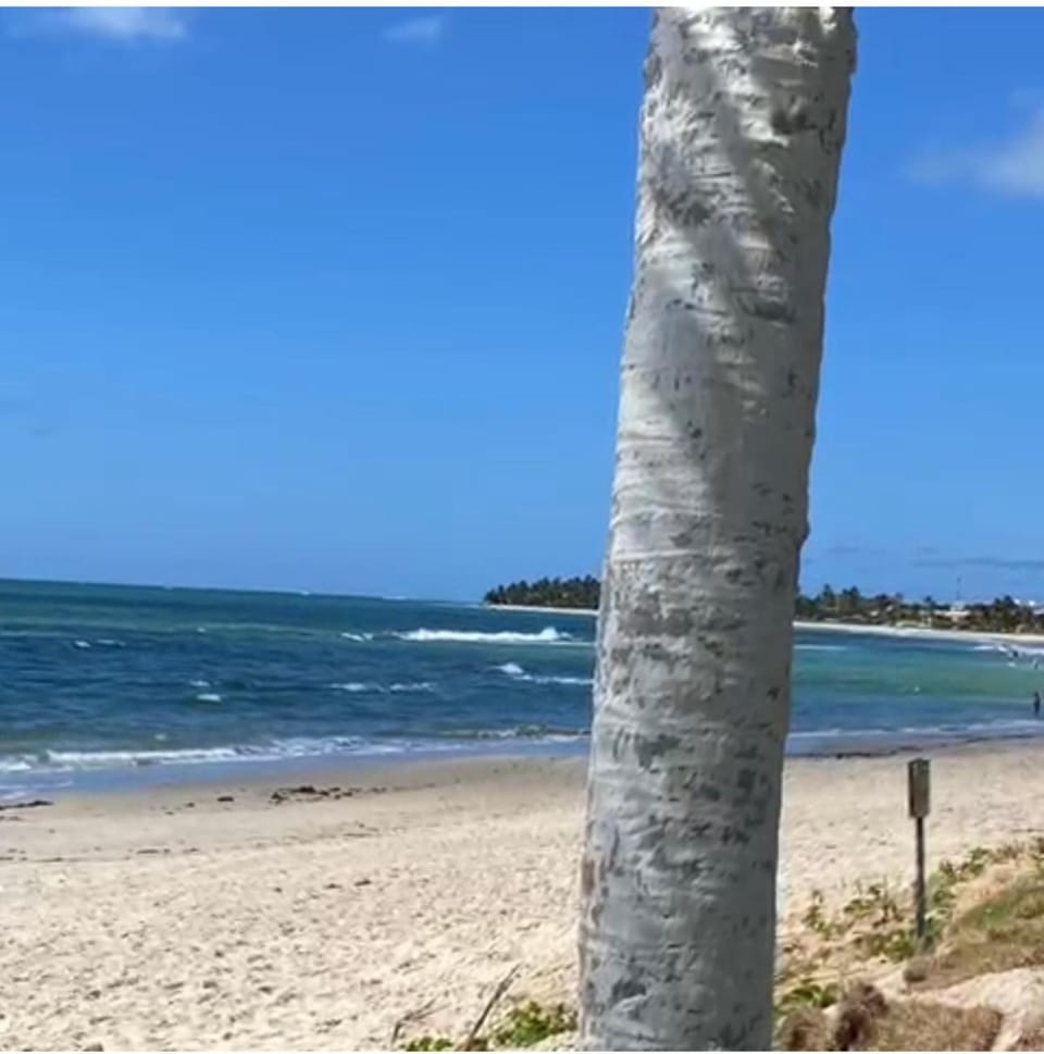 Flat no Apart Hotel Marinas beira mar Apartment hotel in State of Pernambuco, Brazil