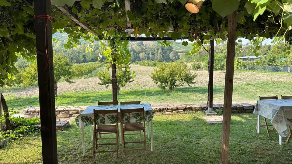 Natural landscape, Garden, Garden view