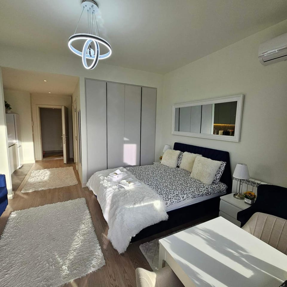 Bed, TV and multimedia, Photo of the whole room, wardrobe, air conditioner