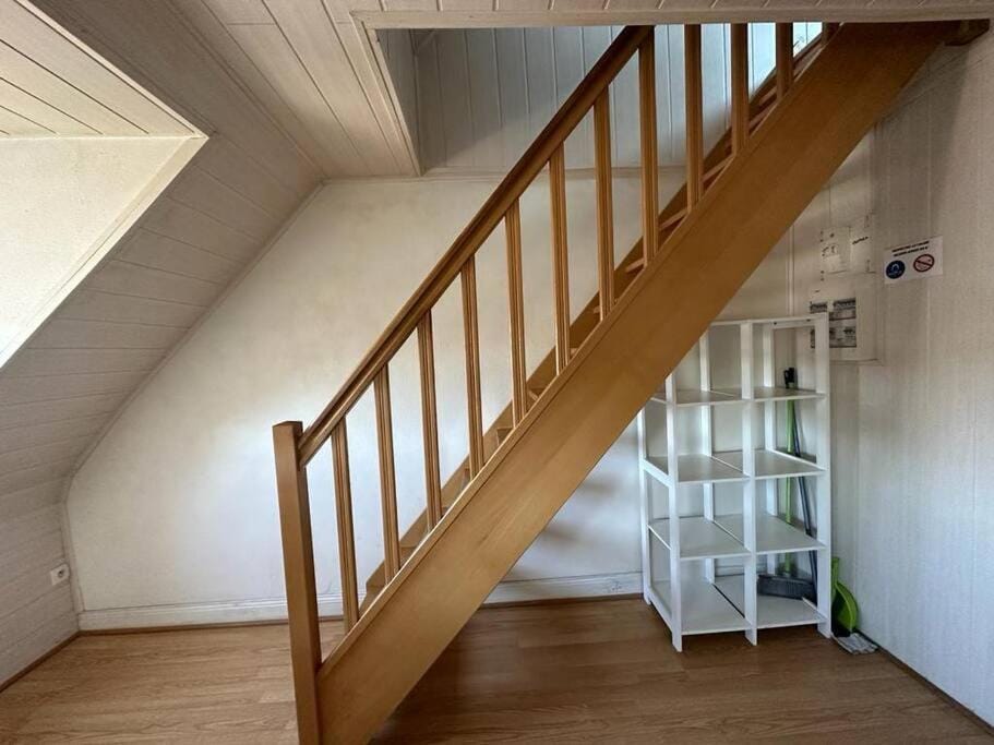 Duplex F2 - proche GARE TGV Apartment in Mulhouse