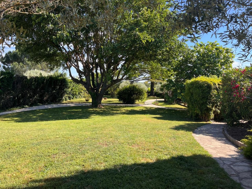 Garden, Garden, Garden view