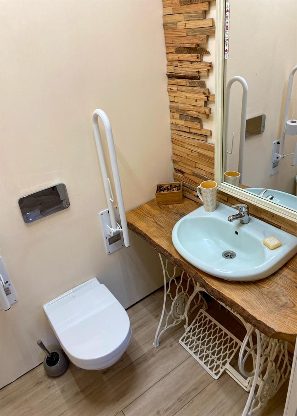 Toilet, Facility for disabled guests