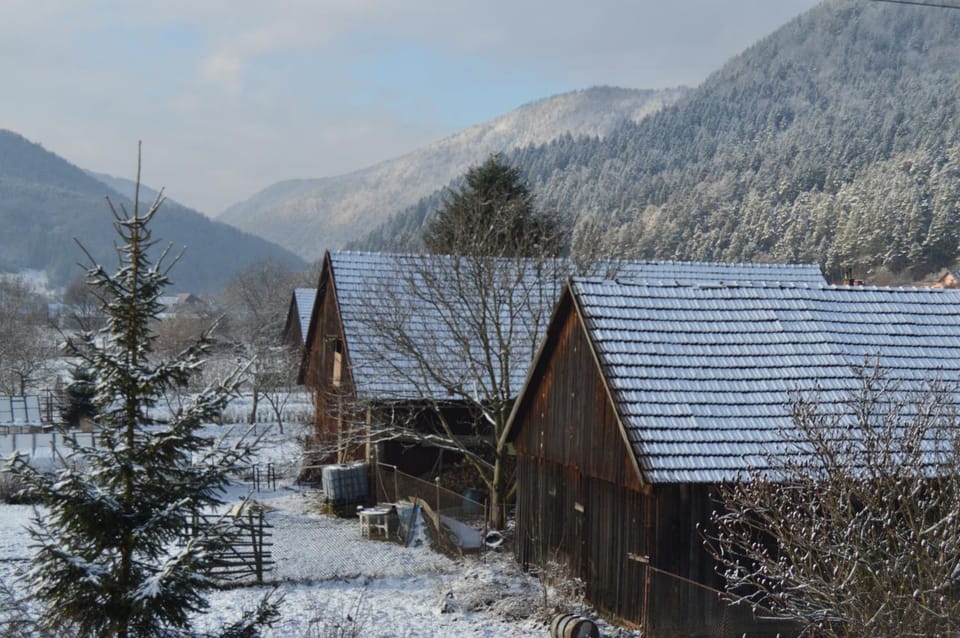 Neighbourhood, Natural landscape, City view, Mountain view