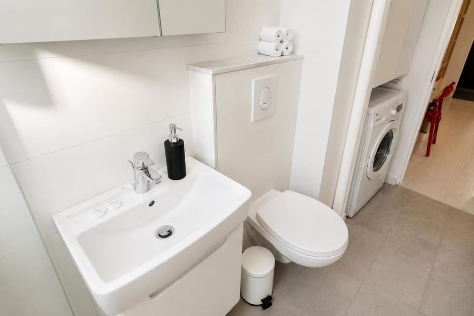 Toilet, Bathroom, washing machine