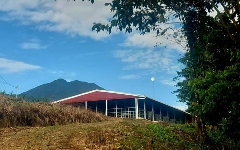 Property building, Day, Natural landscape, Mountain view