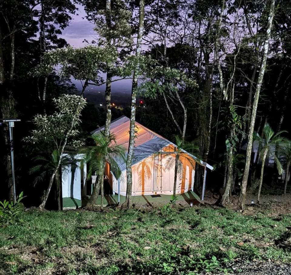 Property building, Night, Activities