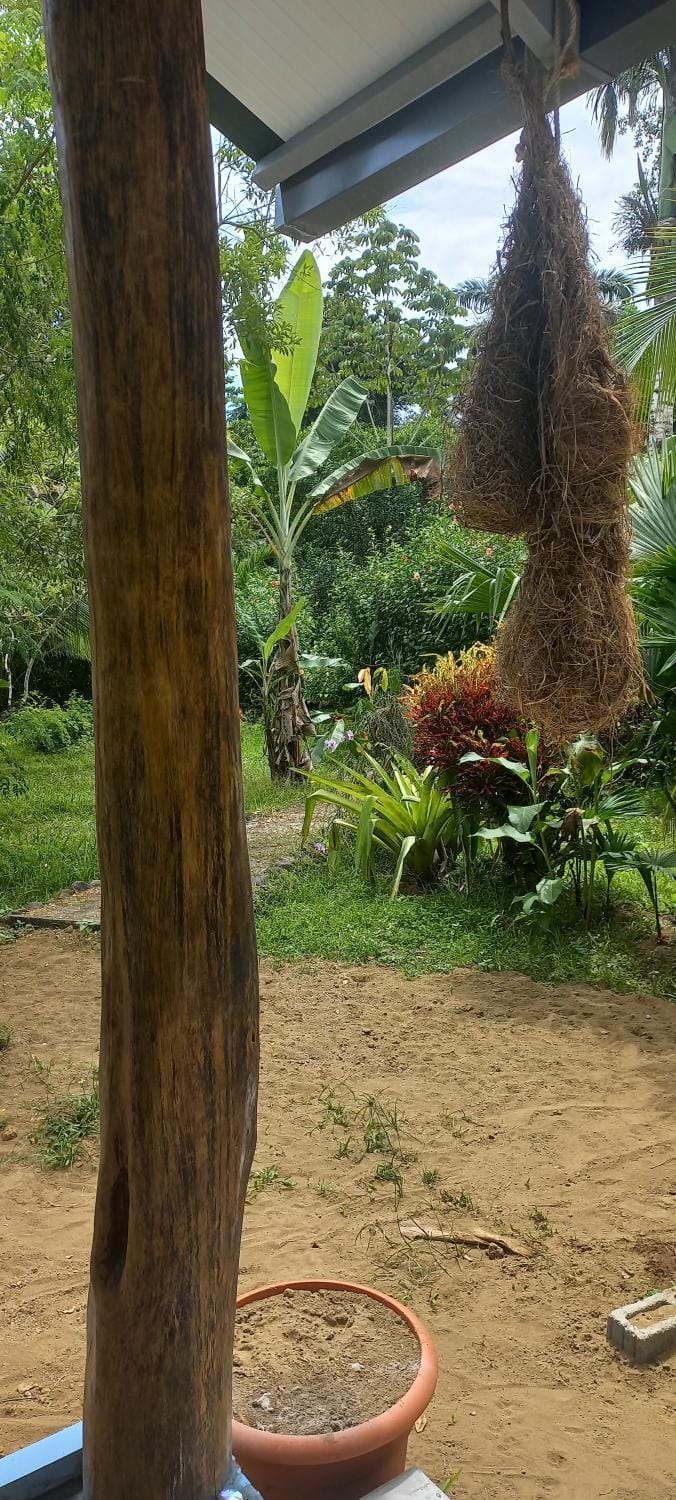 Casa Katharina Villa in Cahuita