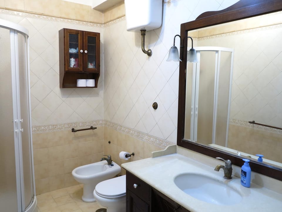 Shower, Toilet, Bathroom, bidet