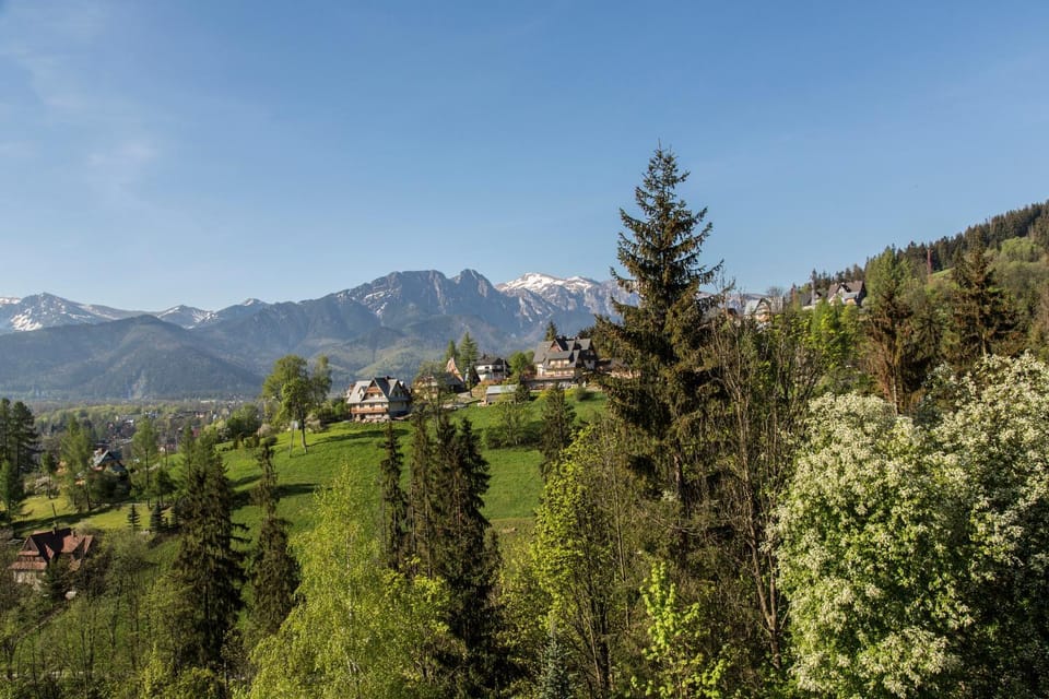 Spring, Natural landscape