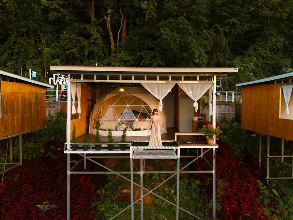 ชิวชิวแคมป์ ภูชี้ฟ้า Campground/ 
RV Resort in Laos