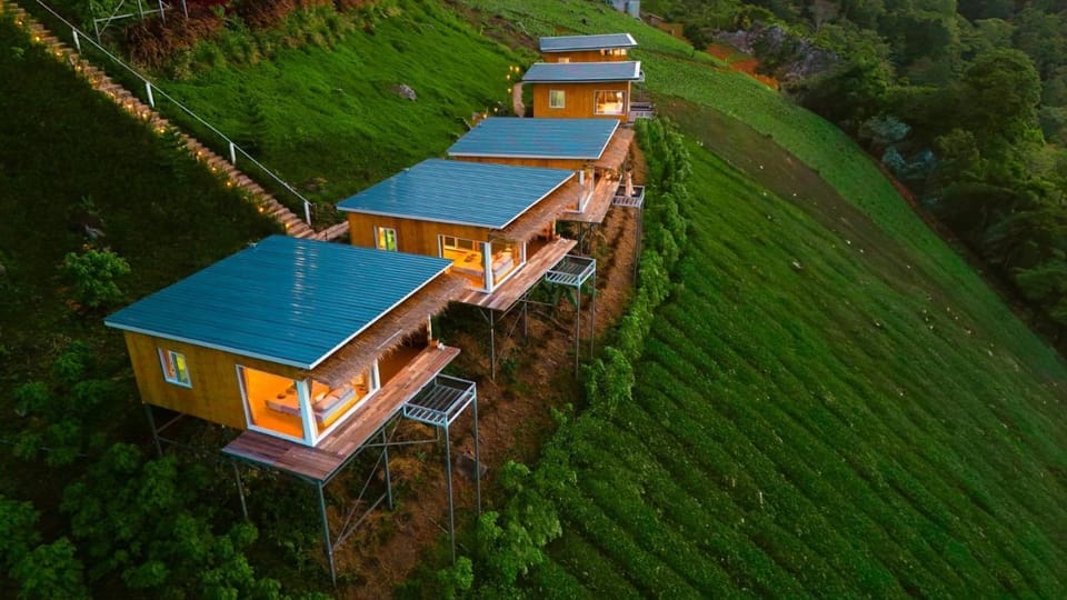 ชิวชิวแคมป์ ภูชี้ฟ้า Campground/ 
RV Resort in Laos