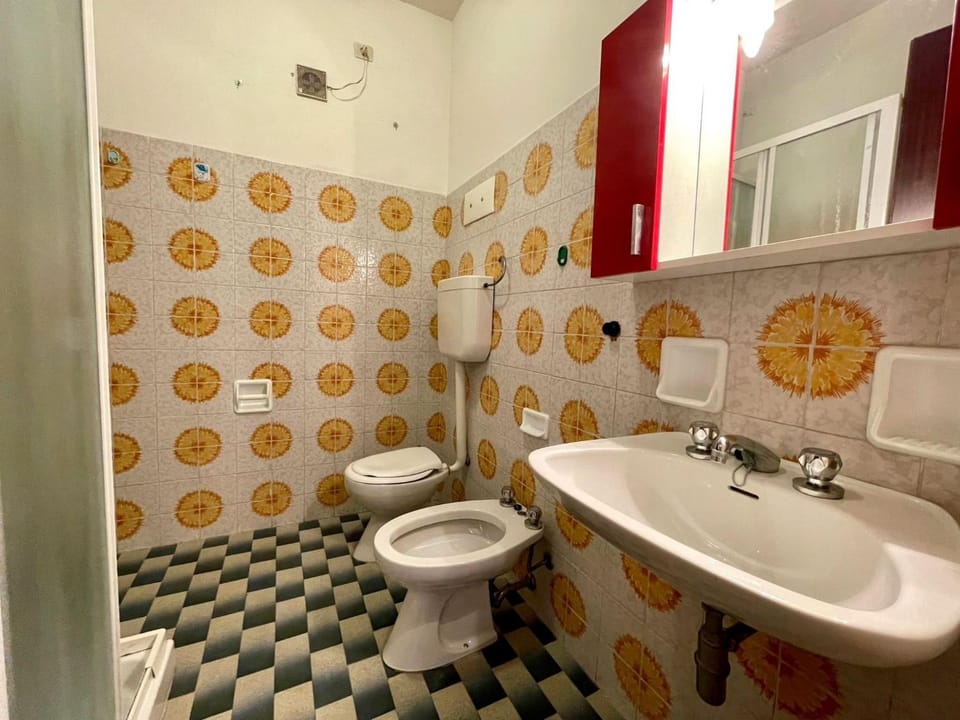 Shower, Toilet, Bathroom, bidet