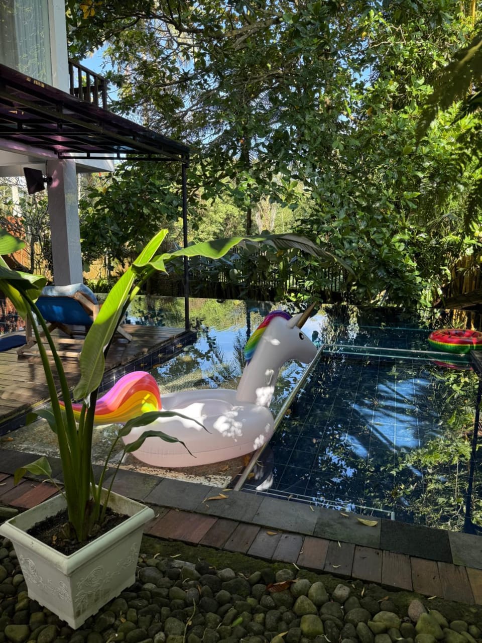 Day, Natural landscape, Garden view, Swimming pool, sunbed