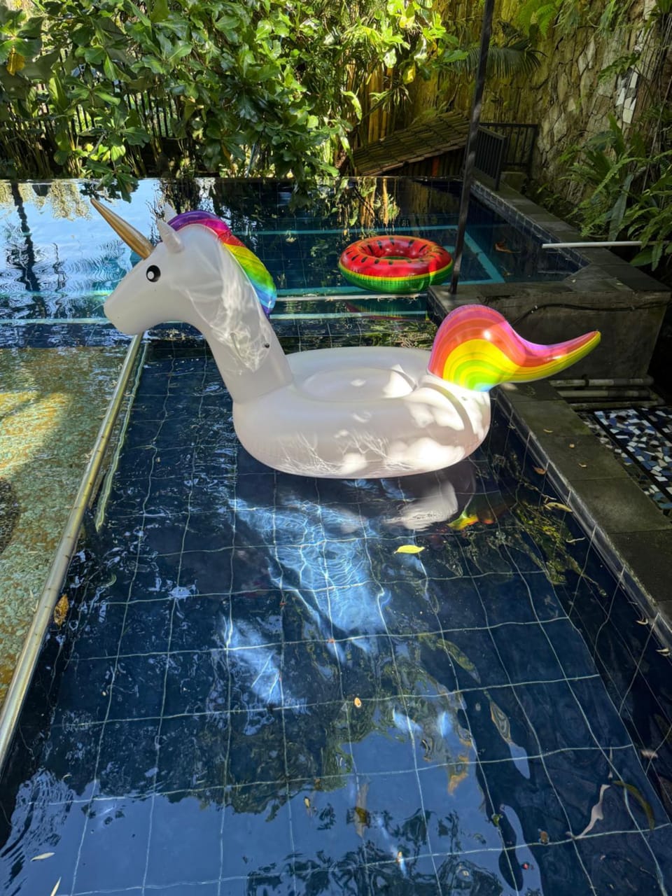 Pool view, Swimming pool