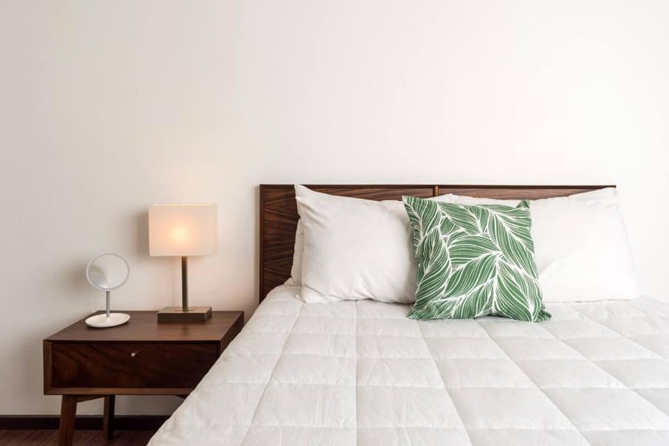 Condesa Residence Campeche 10 Amazing 2 Bedroom 1 Bathroom Oasis with Ample Room House in Mexico City
