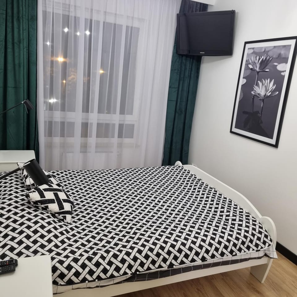 Komfortowy apartament Apartment in Greater Poland Voivodeship