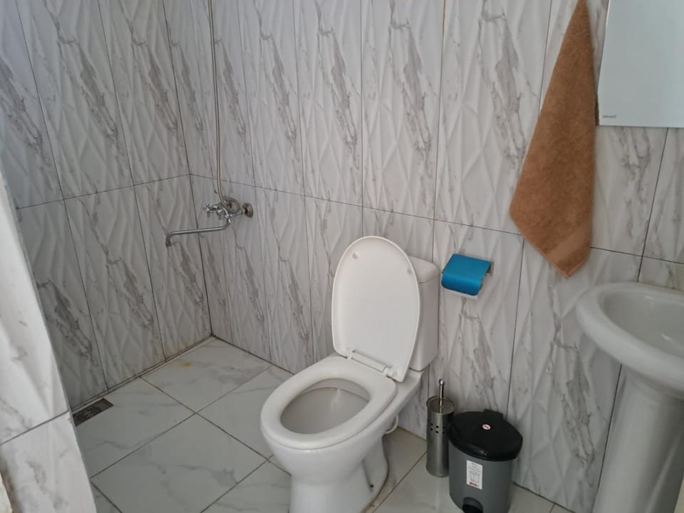 Shower, Toilet
