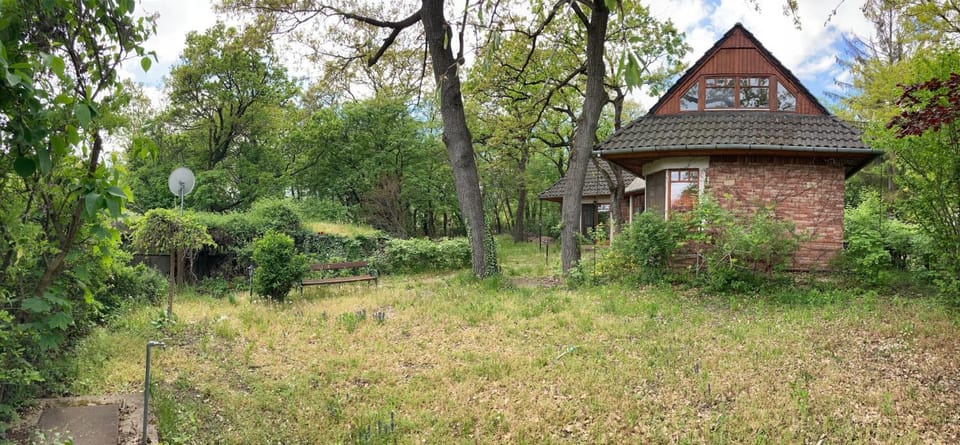 Property building, Spring, Day, Garden, Garden, Garden view