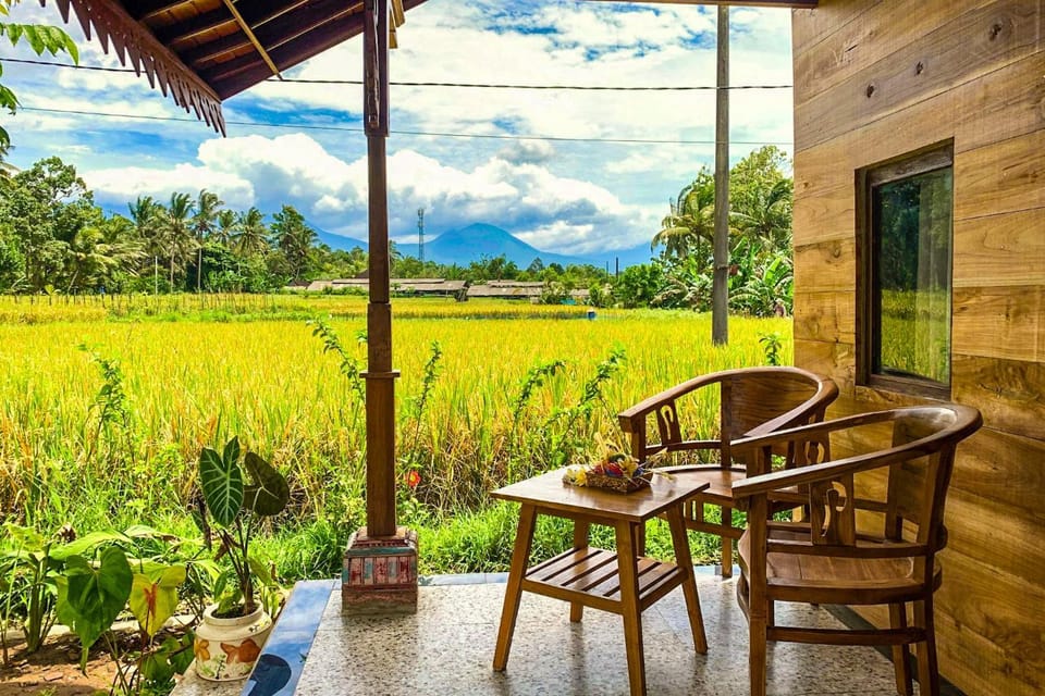 Spring, Day, Natural landscape, Garden, View (from property/room), Balcony/Terrace, Garden view