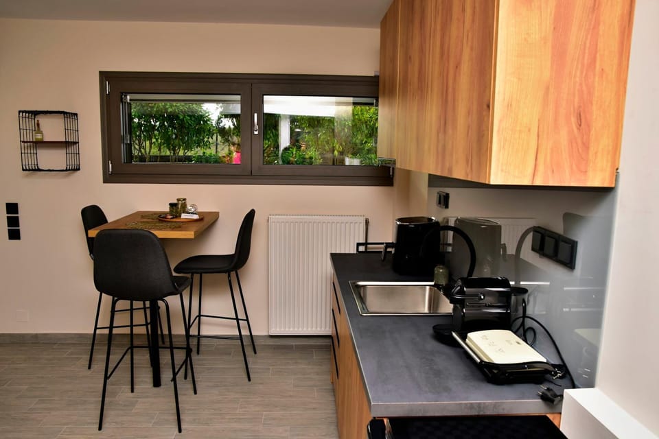 Hilltop house Apartment in Ioannina