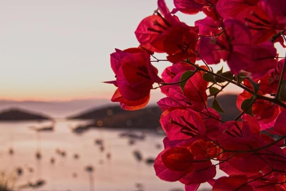 Natural landscape