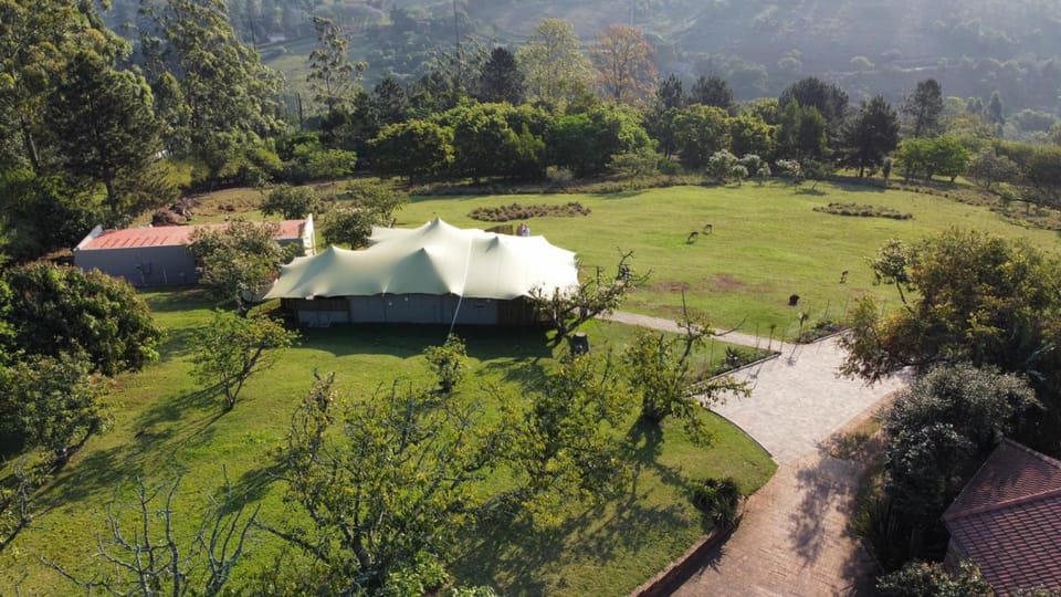 Bird's eye view, Garden