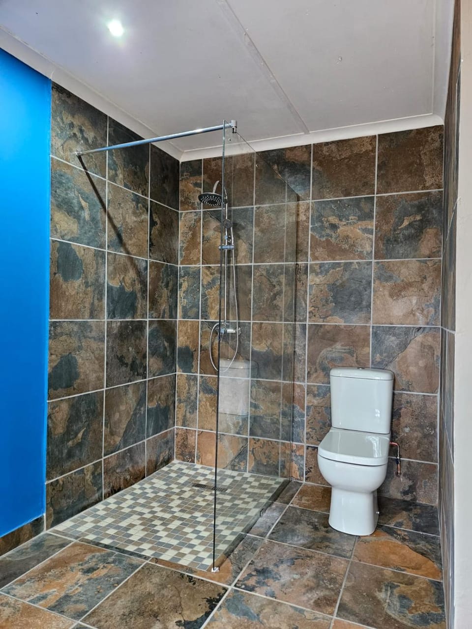 Shower, Toilet
