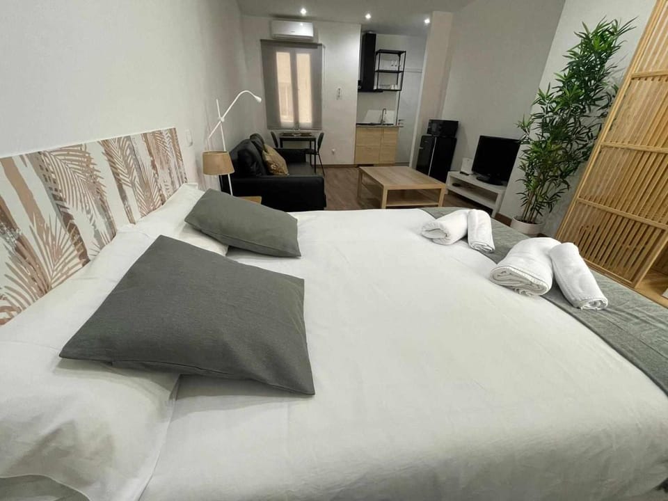 Estudio Retiro-Ibiza II Apartment in Madrid