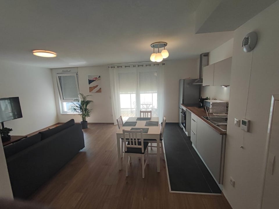 Living room, kitchen