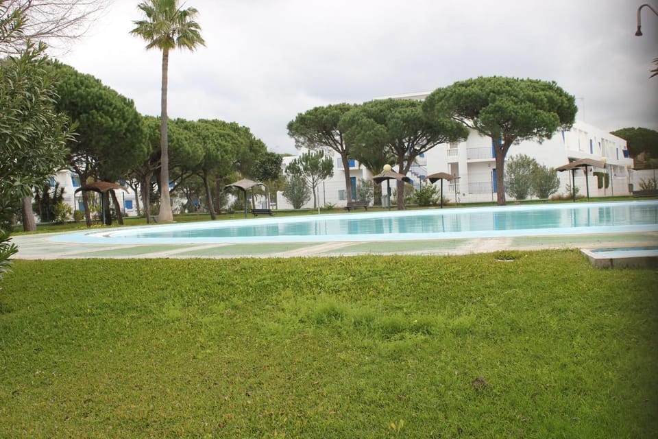 Garden, Swimming pool