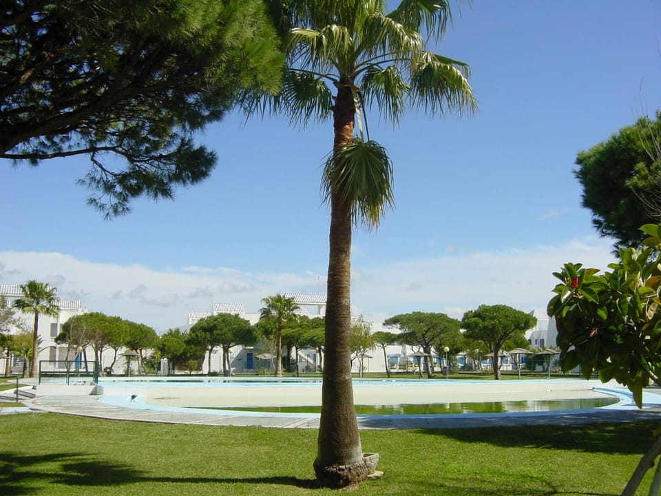Garden, Swimming pool