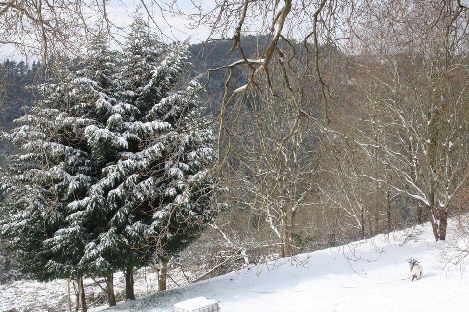 Off site, Day, Winter, Mountain view