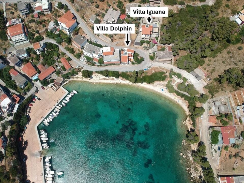 VILLA DOLPHIN VOTSI Villa in Sporades, Greece