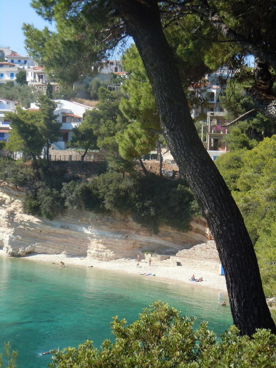 VILLA DOLPHIN VOTSI Villa in Sporades, Greece