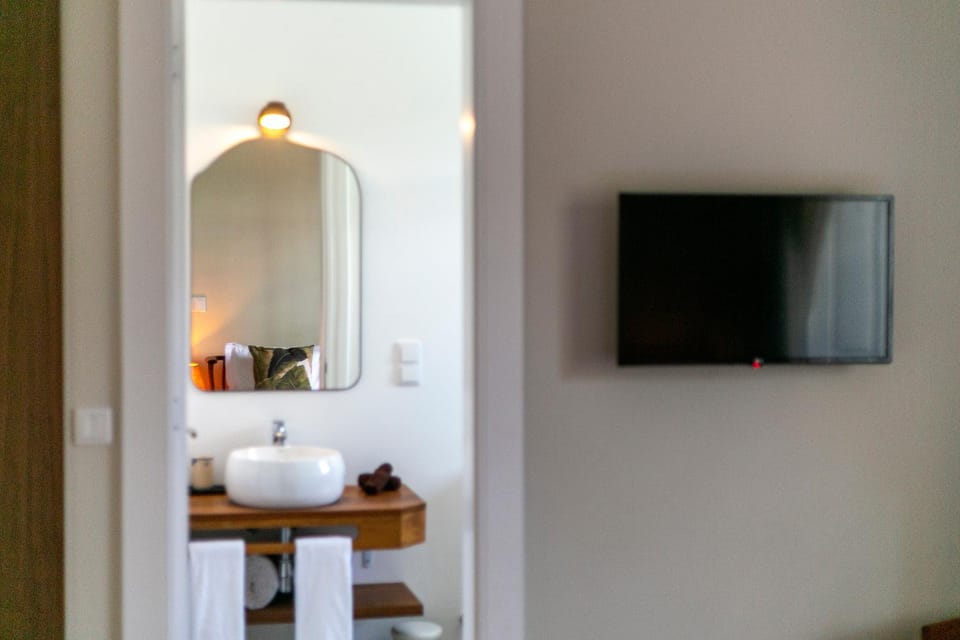 Toilet, TV and multimedia