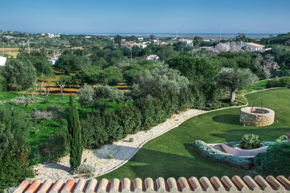 Patio, Garden, Garden view